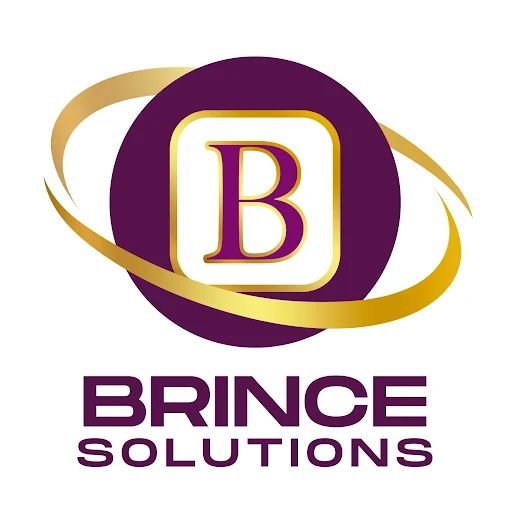 brincesolutions/partners